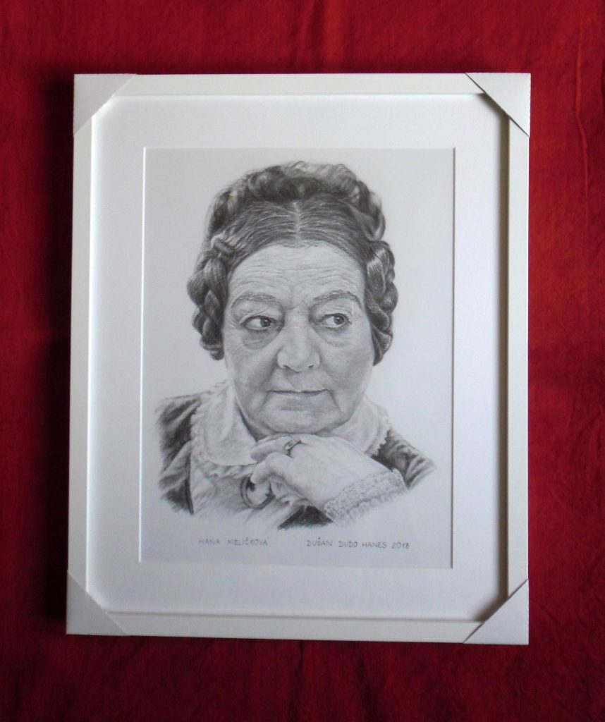 188 - Hana Meličková. Portrét v ráme, Dušan Dudo Hanes